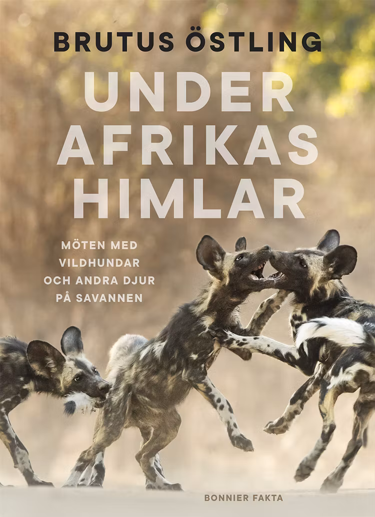 Under Afrikas himlar : Möten med vildhundar och andra djur på savanner - finns i Rutströms bokhandel