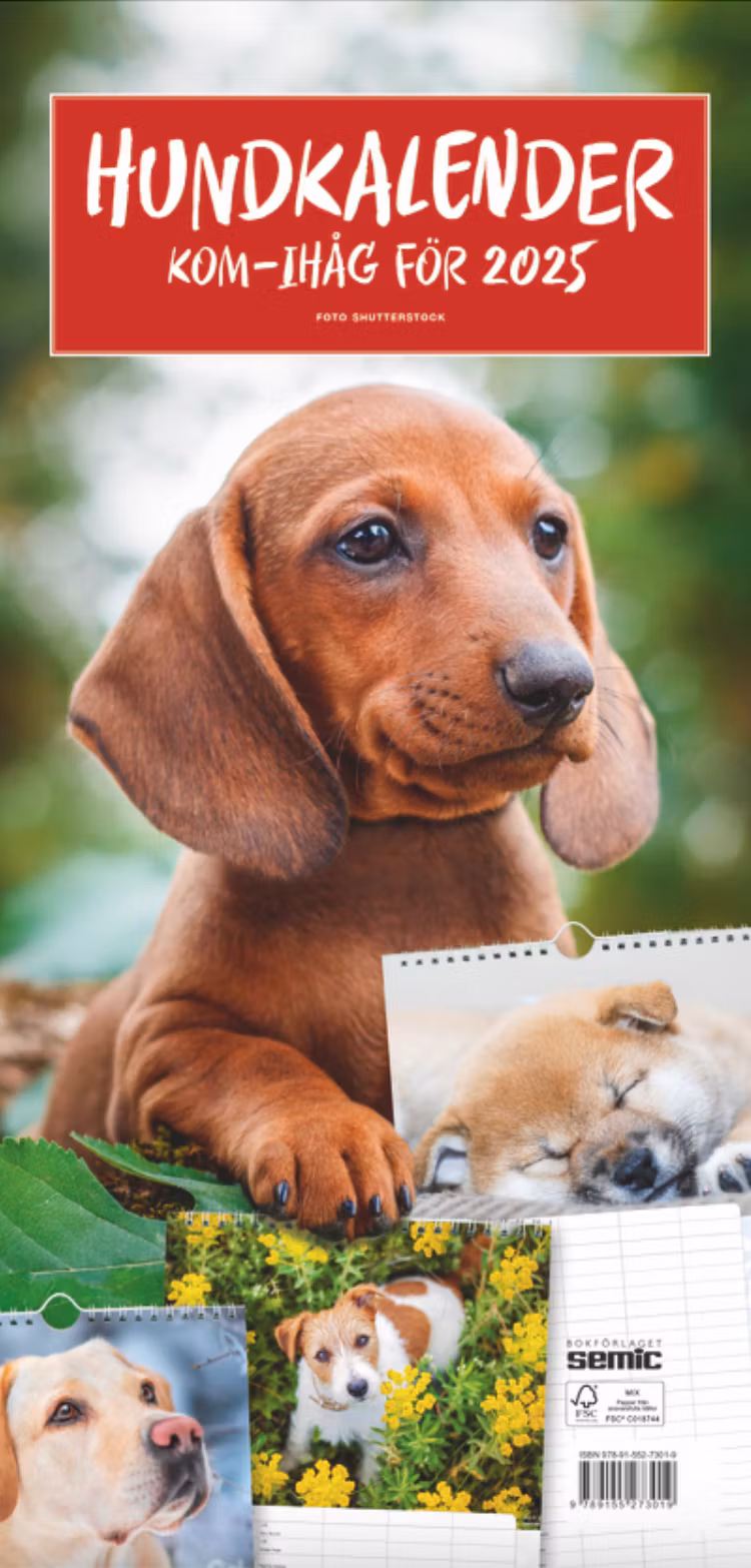 Hundkalender 2025 - finns i Rutströms bokhandel