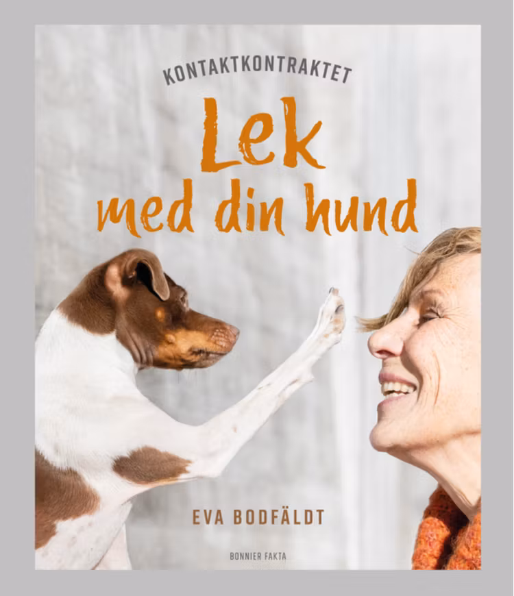 Kontaktkontraktet : lek med din hund - finns i Rutströms bokhandel
