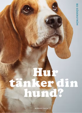 Hur tänker din hund?