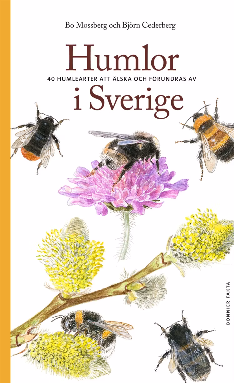 Humlor i Sverige - finns i Rutströms bokhandel