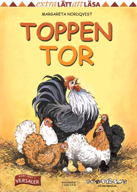 Toppen Tor