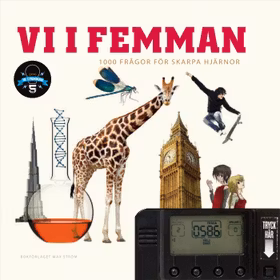 Vi i femman