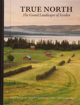 True North