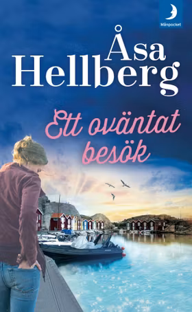 Ett oväntat besök (pocket)