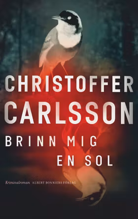 Brinn mig en sol