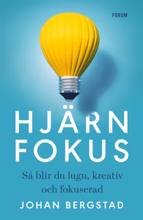 Hjärnfokus - Så blir du lugn, kreativ och fokuserad
