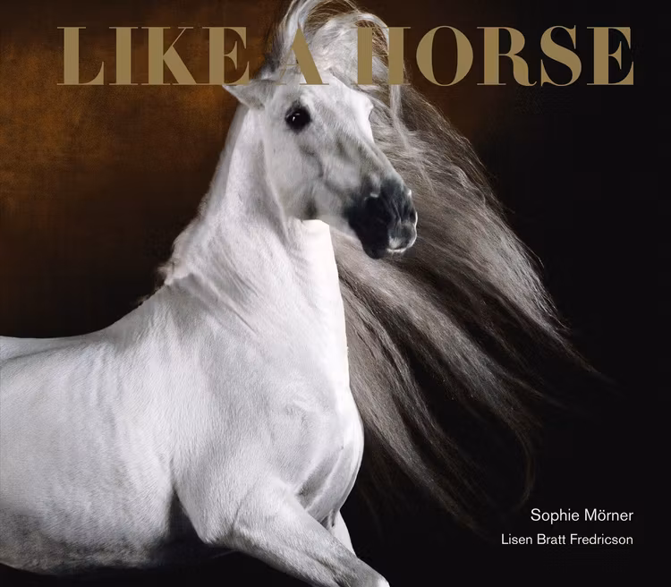 Like A Horse - finns i Rutströms bokhandel