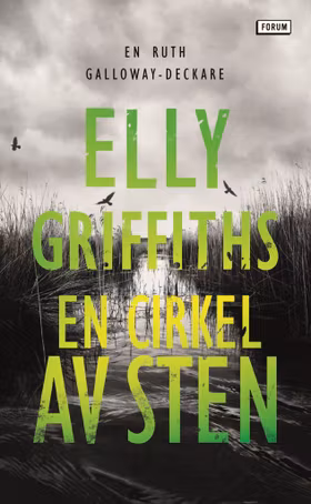 En cirkel av sten (pocket)