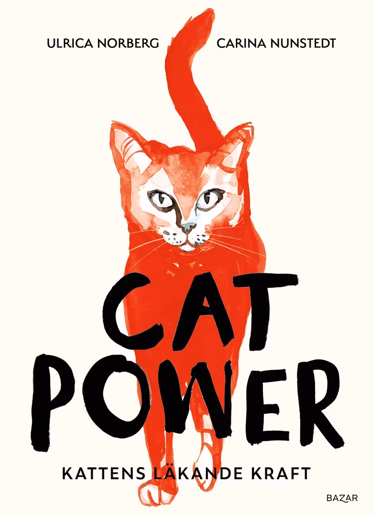 CAT POWER - finns i Rutströms bokhandel