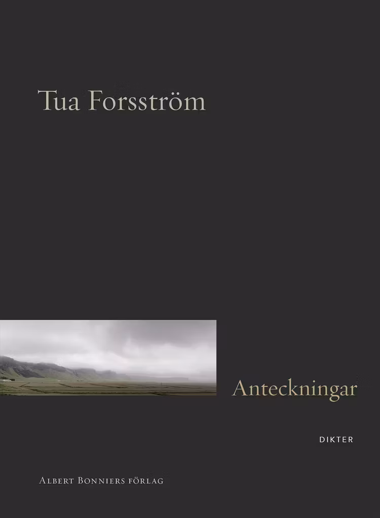 Anteckningar - finns i Rutströms bokhandel