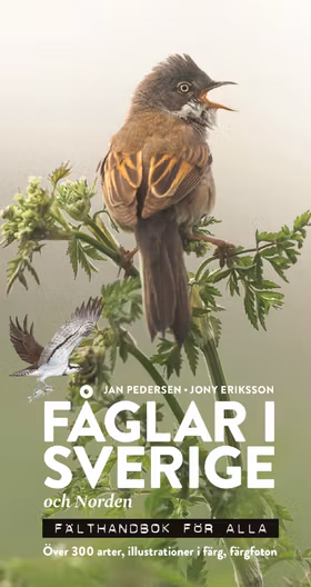 Fåglar i Sverige och Norden