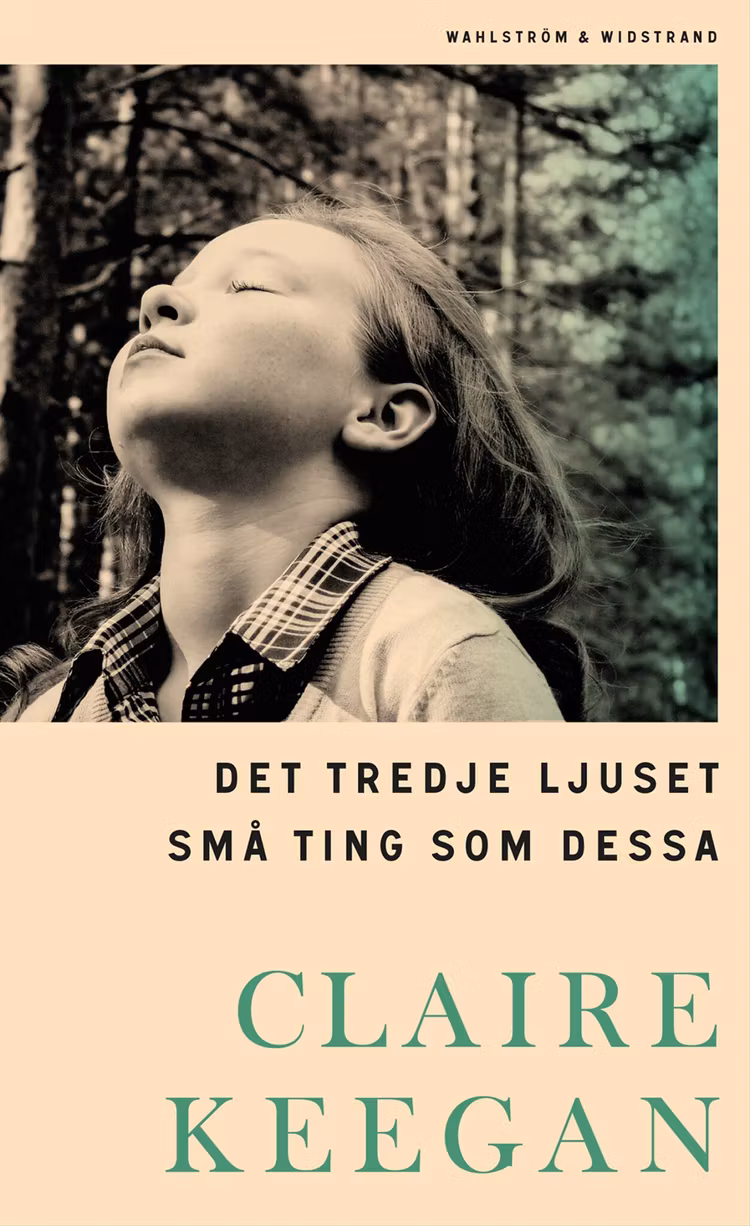 Det tredje ljuset/Små ting som dessa - finns i Rutströms bokhandel