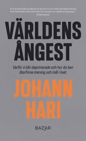 Världens ångest (storpocket)