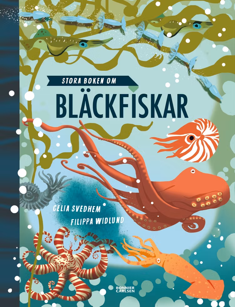 Stora boken om bläckfiskar - finns i Rutströms bokhandel