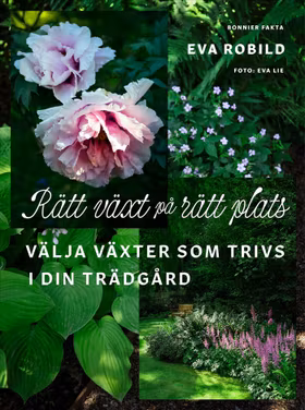 Rätt växt på rätt plats