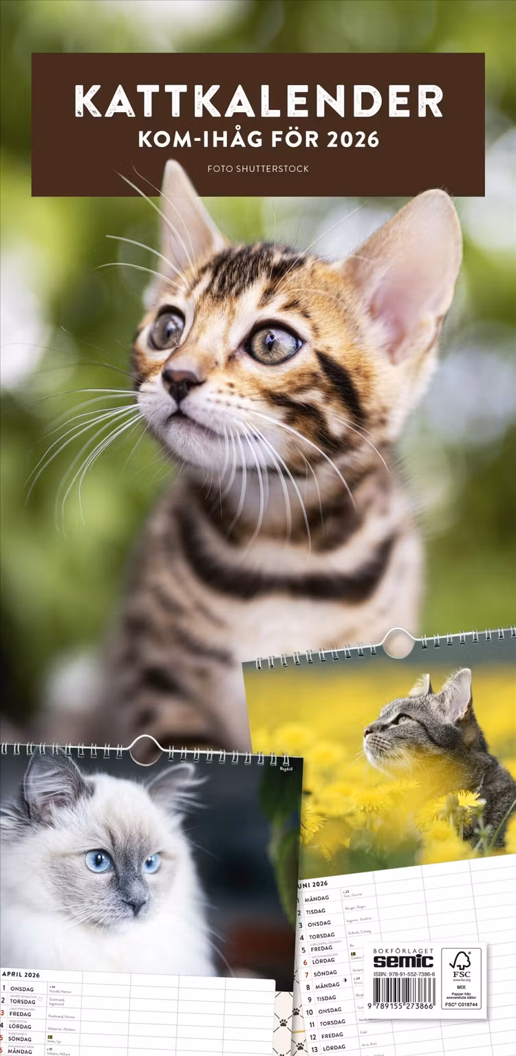 Kattkalender 2026 - finns i Rutströms bokhandel