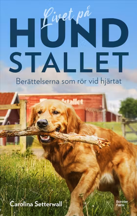 Livet på Hundstallet