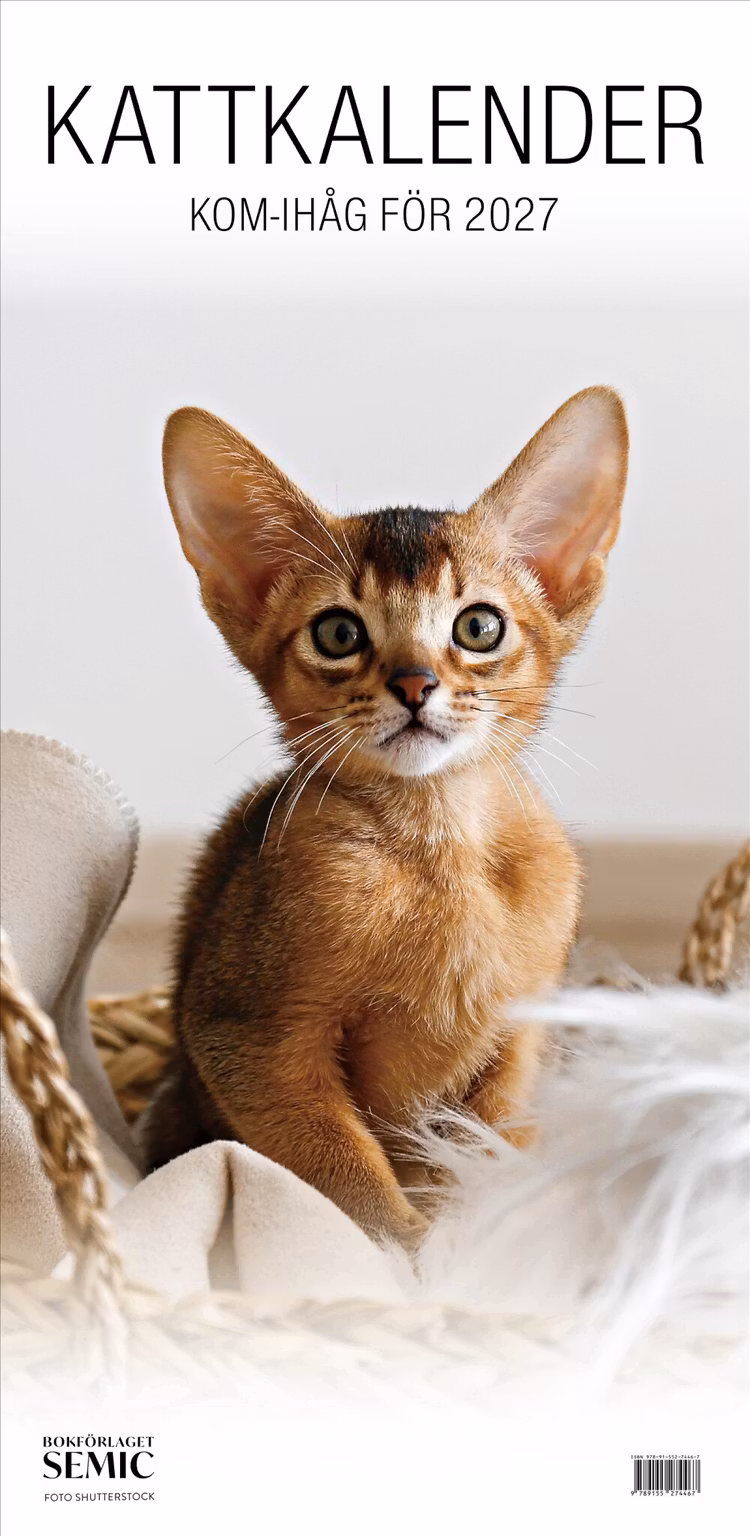 Kattkalender 2027 - finns i Rutströms bokhandel