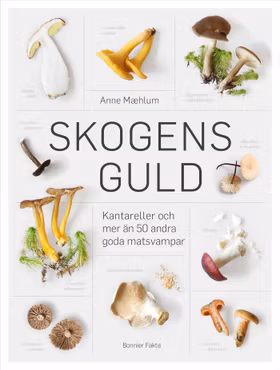 Skogens guld