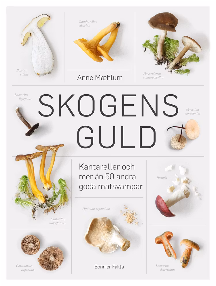 Skogens guld - finns i Rutströms bokhandel
