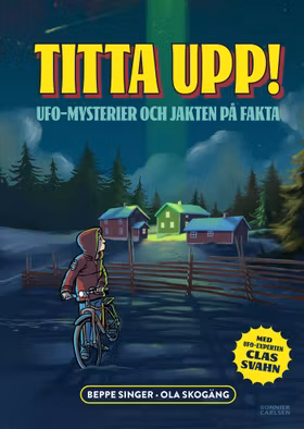 Titta upp! Ufo-mysterier och jakten på fakta