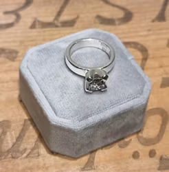 Ring Modicus minimus tribus gloss - högglanspolerad