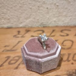 Ring Parvus minimus tribus