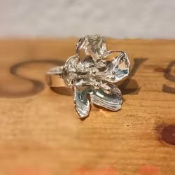Ring Smörblomma