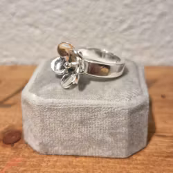 Ring liten Smörblomma