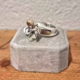 Ring liten Smörblomma