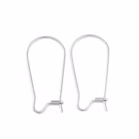 4217 Örhängeskrok kirurgisk stål (316) elefant 25x12mm, 10-par