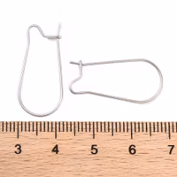 4217 Örhängeskrok kirurgisk stål (316) elefant 25x12mm, 10-par