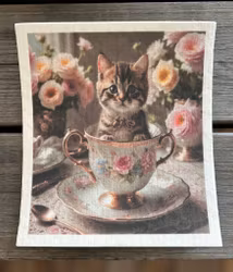 Disktrasa ”Kattunge”