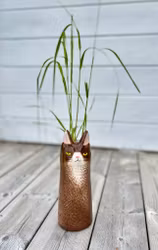 Kattvas