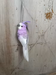Undulat lila