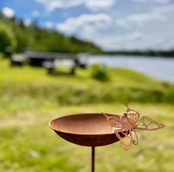 Fågelbad rost m fjäril