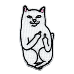 Fuck you cat