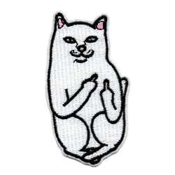 Fuck you cat