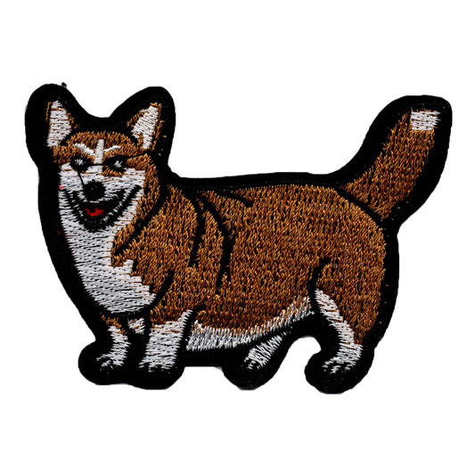 Corgi - Hund