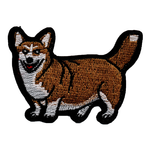 Corgi - Hund