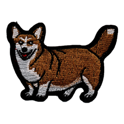 Corgi - Hund
