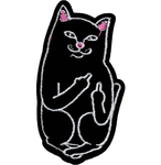 Fuck you cat