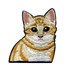Katt