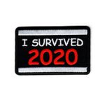 I survived 2020