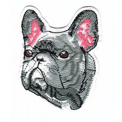 Hund - Bulldog