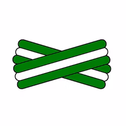 Spegatt (Kelly Green - White - Kelly Green)