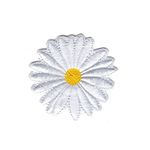 Blomma - Prästkrage