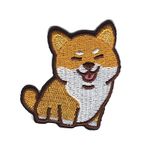 Shiba inu - Hund