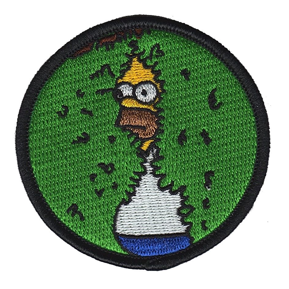 Hiding Homer